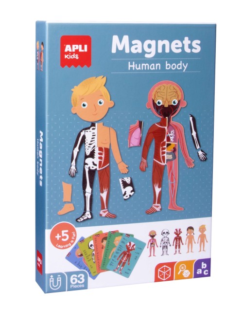 Magnets le corps humain Apli Kids