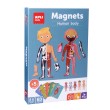 Magnets le corps humain Apli Kids