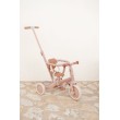 Tricycle 4 en 1 fairy floral Little Dutch