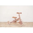 Tricycle 4 en 1 fairy floral Little Dutch