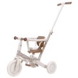 Tricycle 4en1 sunny flower Little Dutch