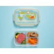 Lunch bento box ollie gator
