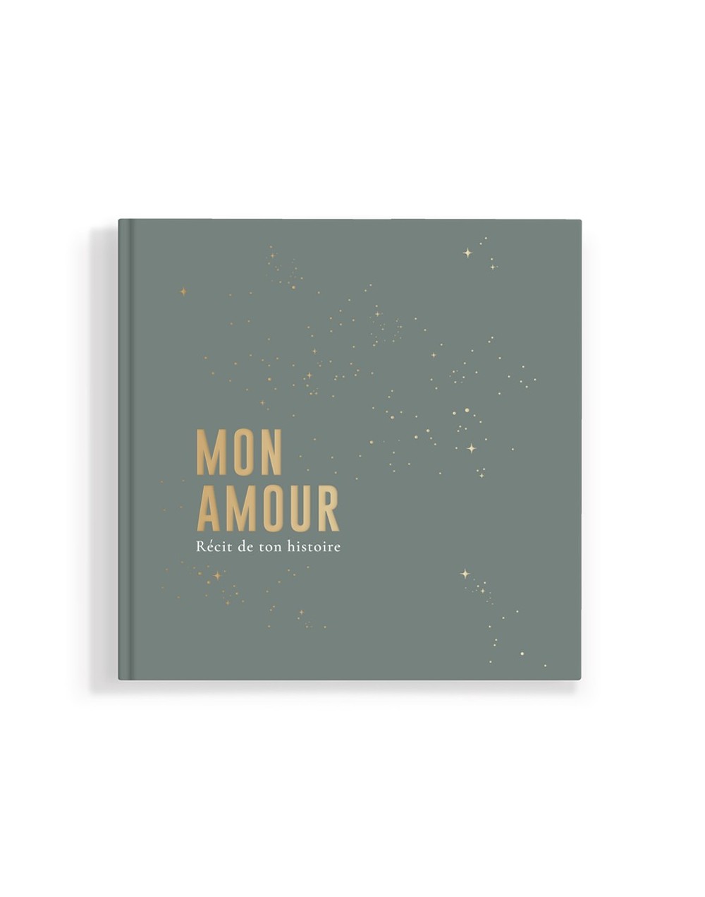 Livre de naissance céleste brume Zakuw